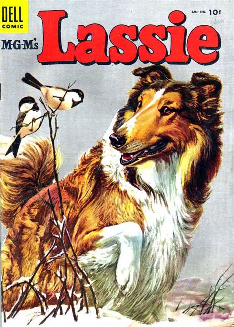 Lassie, Pies Podwórkowy, serial o przygodach bohaterskiego psa i jego związku z ludźmi